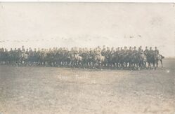Rewia wojsk na Ławicy w dniu 3 maja 1919 r. (WMN)