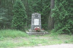 Pomnik poległych żołnierzy koło Trzebani pod Kąkolewem (fot. P.Anders)