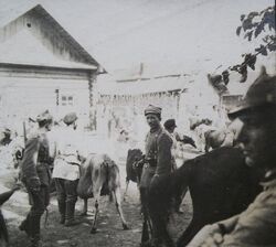 Uhlans of the 1st Greater Poland Uhlan Regiment during a requisition in the village of Kurhany (approx. 12 km north of Babruysk) carried out as punishment for concealing Bolshevik grenadiers. September 1919