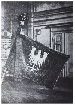 Left side of the flag donated on 1 March 1920 by the inhabitants of Chodzież region