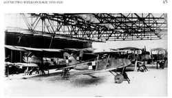 The two-seater escort aircraft – Halberstadt Cl.II- No. SLŁ 208/18 in a hangar in Ławica.
As well as this plane, there are also: an Albatros C.Ia No. SLŁ 126/17 and an Albatros C.VII. Photo from the collection of Priest Robert Kulczyński SDB