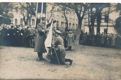 Swearing-in and presentation of the People&#039;s Guard banner by Gen. Dowbor-Musnicki, Liberty Square, February 23, 1919